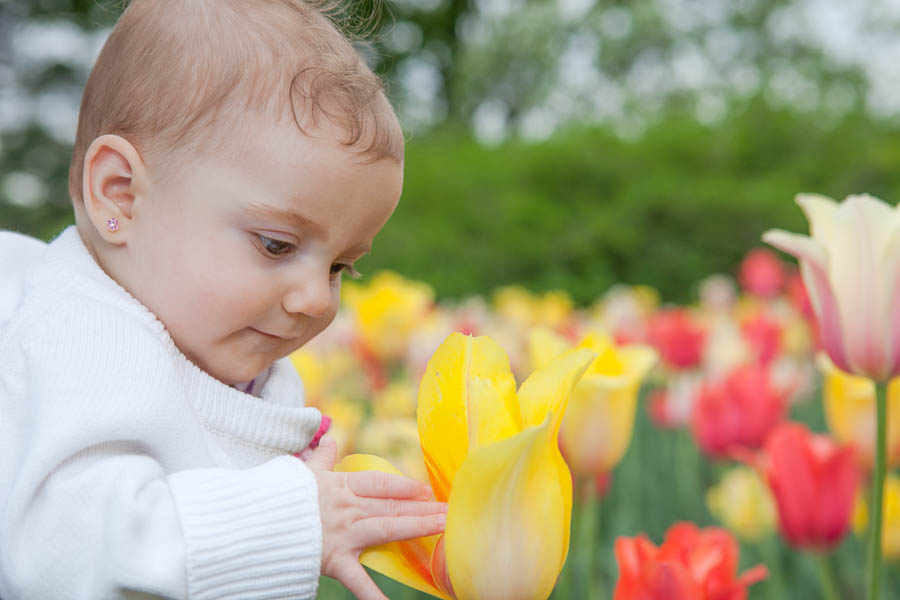 Jessica and Jeff posing with their baby at the tulip festival in Ottawa.